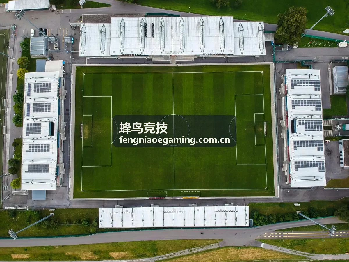 蜂鸟竞技LOL版本更新攻略封面